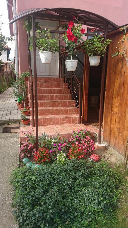 Hotel Casa Fabrizio Călimăneşti Exterior foto